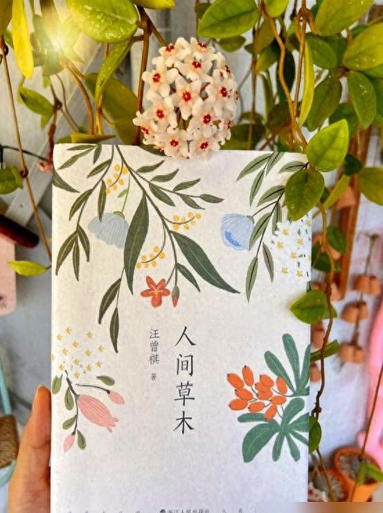 阴花不能进阳宅！这5种花“打死”也不养，家里若有？快挪走！