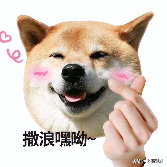 9月28日，超好逛的外滩秋日市集来袭！