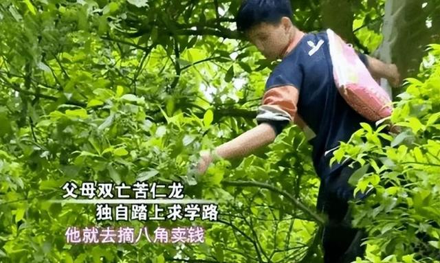 广西男孩韦仁龙：父母双亡，靠捡垃圾为生，以707高分考上北大
