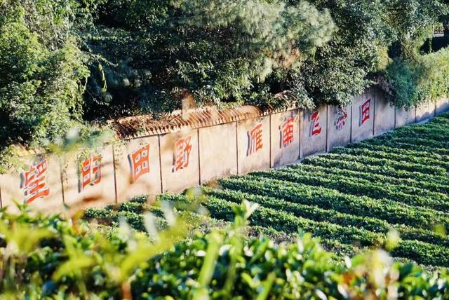 深圳开往深圳？旅客：就这样被“深深”迷住！