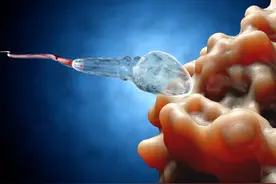 一滴血十滴精？男性长期禁欲，精子质量会变好？医生：有3个危害图片