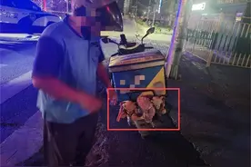 玩偶小熊变身“挡箭牌”，这样一点也不可爱！图片