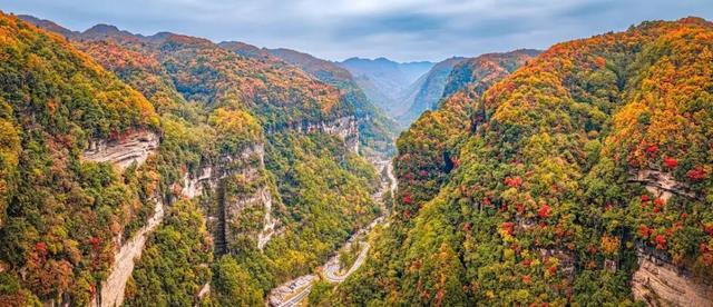 央视点赞的旺苍红叶有多绝？这些亮眼特色，承包你整个秋天的浪漫