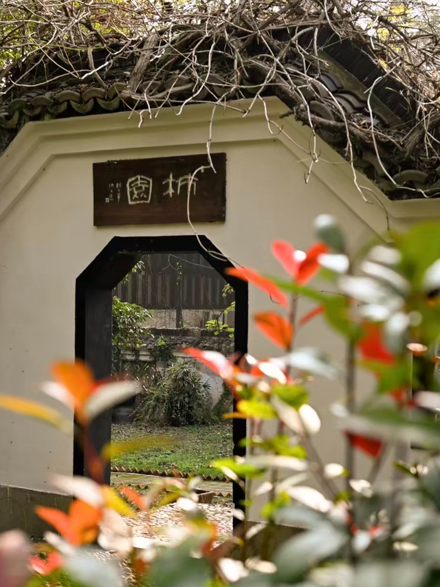 求雨山的风说了什么？