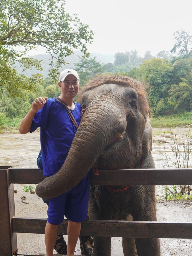 兰纳水灯节疗愈之旅，泰国清道大象训练中心｜和大象做朋友的一天