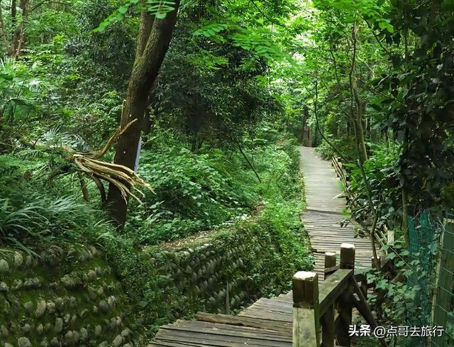 成都难得的清凉徒步胜地，在都江堰隔壁，不要门票，超级凉爽。