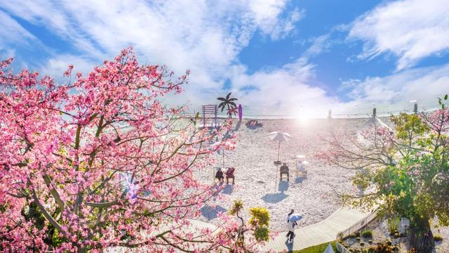 成都双子塔巨幕喊你赴约:“天气凉了,去米易吧!”