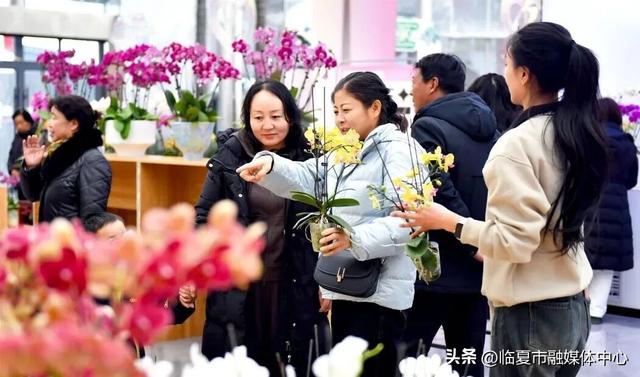 临夏市：“文商旅体健”绘就马年新春盛景