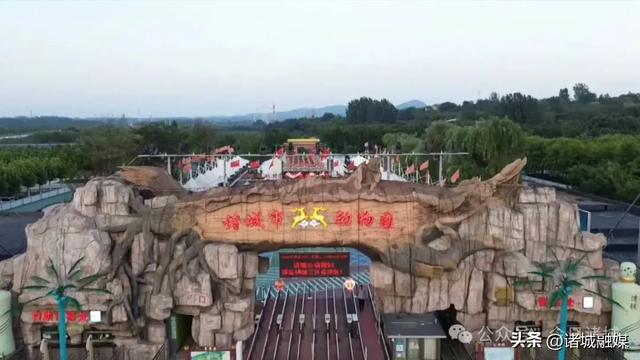诸城市动物园迎来4位新住客，还能半价游园！
