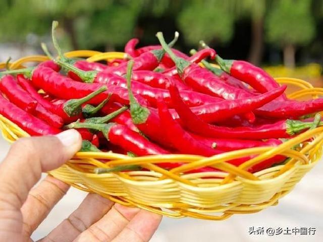 震惊！河北“黑马”邯郸：石家庄没预料，保定没料到！