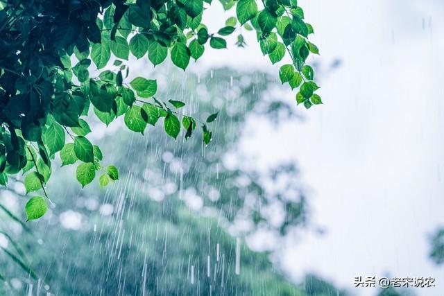 国庆假期天气，降温10度！暴雨(雪)中心已定，这些地区假日要泡汤