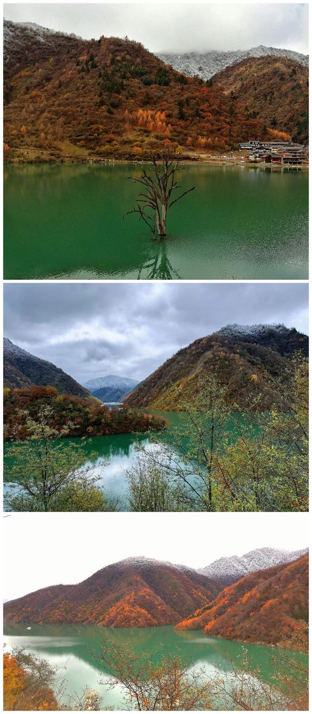 层林尽染看平武