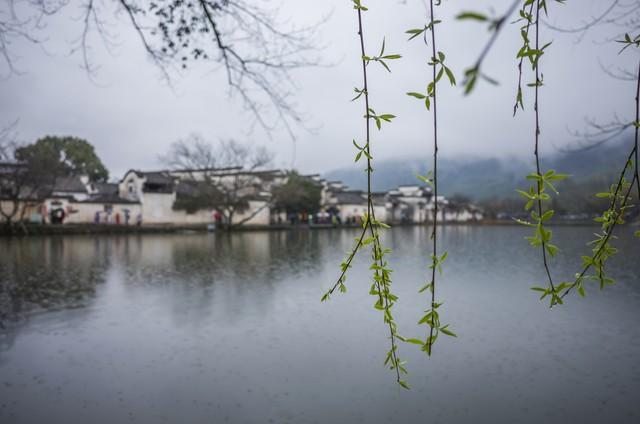 古诗里的春天，比鲜花更绚烂。15首经典春日古诗词全文+解析+感悟