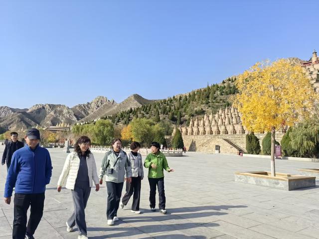 青铜峡黄河大峡谷秋景醉游人
