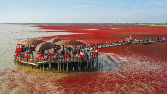 盘锦红海滩再上央视新闻频道