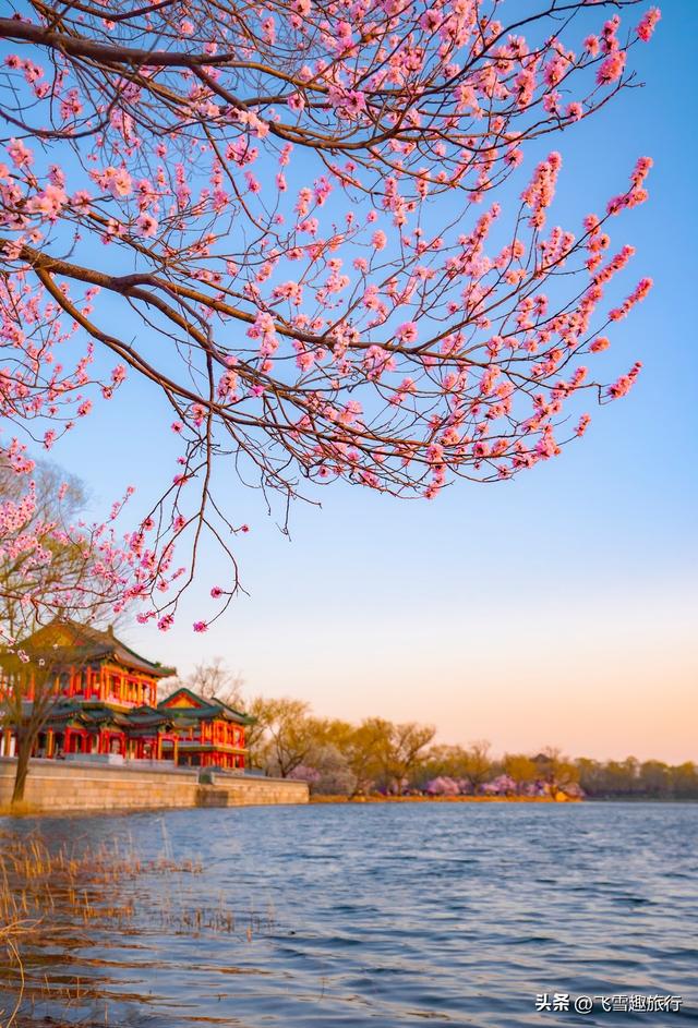 春暖花开，正是赏花好时节，这份三月赏花路线图请收好