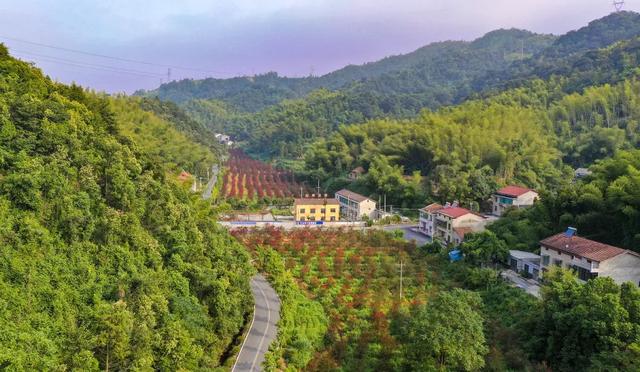 湖南这12条路美出了名,益阳这条你走过吗?