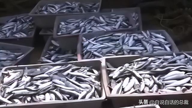 花胶能熬没了吗 2026年花胶能熬没了吗图片