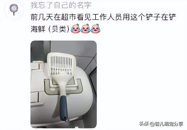 妹子去买饺子，突然发现铲饺子的铲子很眼熟，养猫人看了都沉默了