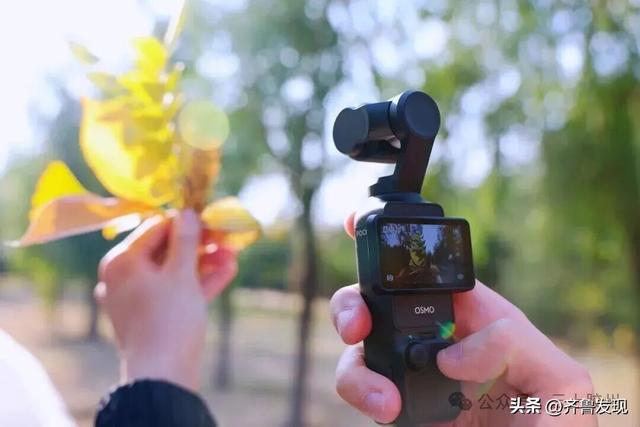 出发！去上合示范区“捡秋”