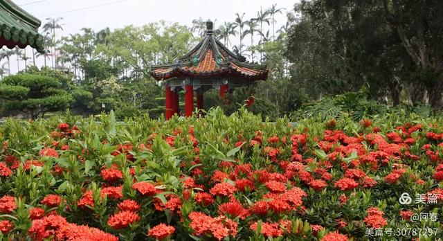 宝岛台湾:士林官邸公园