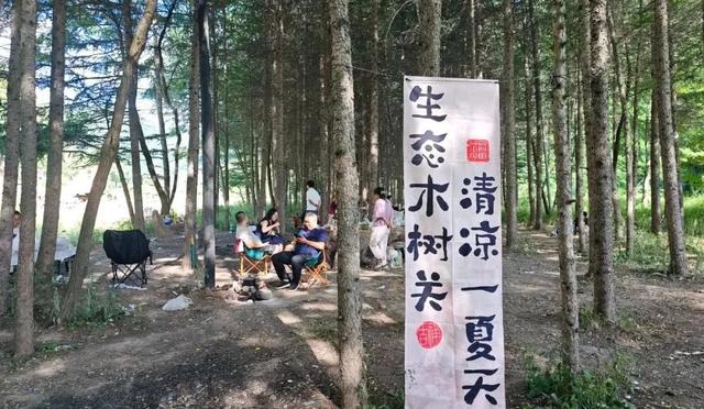 礼县文旅热力全开｜这个夏天，遍地是“爆款”
