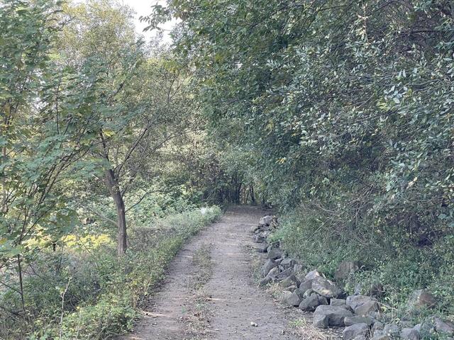 随性骑游六合随拍小景