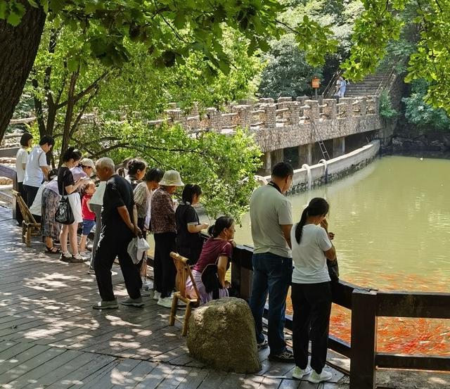 戏水撒欢享清凉！游客被夏日千山圈粉