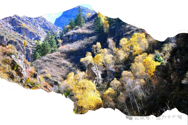 土右旗的秋天不用买，弯腰就能“捡”到治愈！