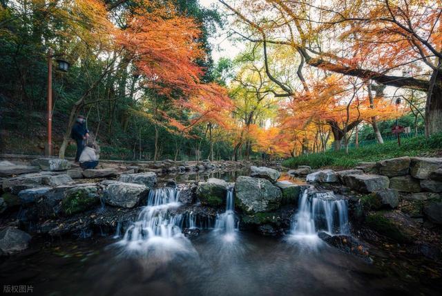 🌿 没去过这9个地方，等于白来杭州