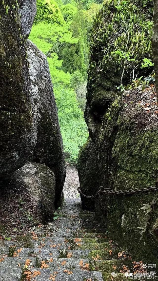 温州酷暑哪里有清凉,当然永嘉四海山!