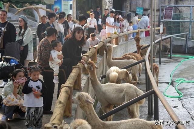 免票！半价 ！湖南这些景区送福利