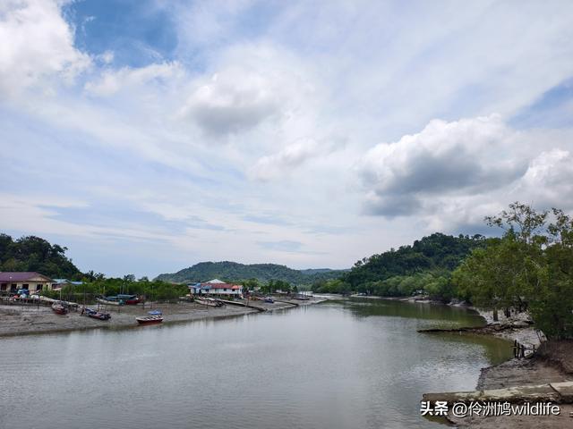 马来西亚(35)砂拉越州⑨峇哥国家公园徒步线路