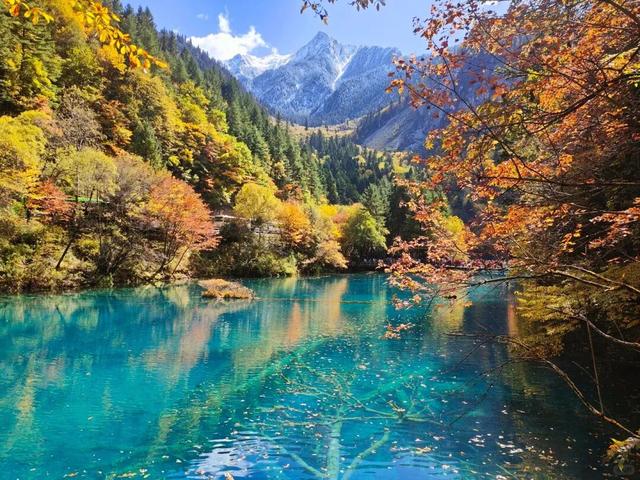 管他什么假，不放假也要来阿坝！