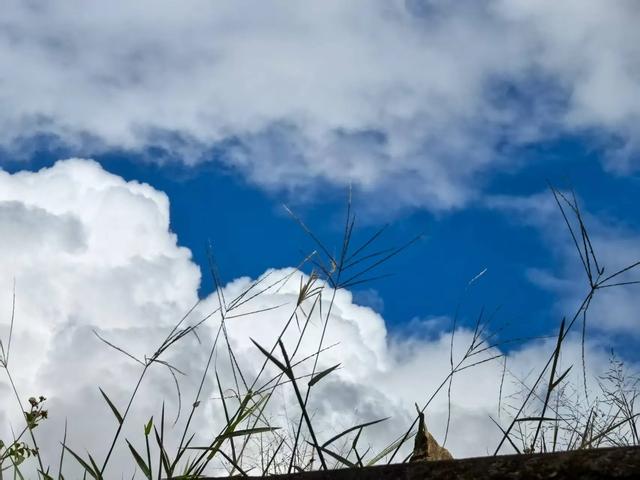 秋日天空之城
