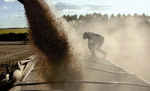 2500万吨的大豆，中国必须买？美国代表团抵华，想让中方亲口许诺