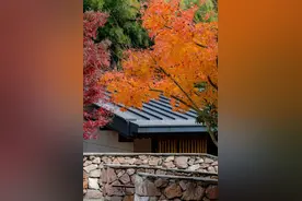 南京牛首山：慢赏细节，窥见大美图片
