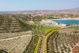 平川区创新造林发展模式图片