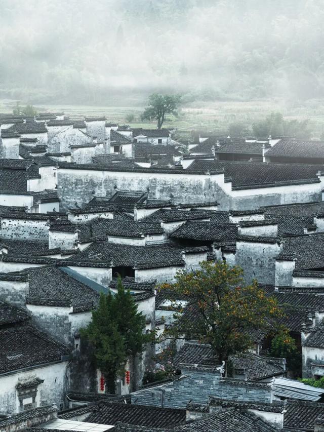 这个秋日，西递超好看的！| 皖美秋日