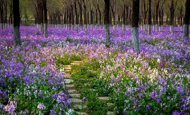 我今年56岁才顿悟！男人没了女人就2个字，女人没了男人就4个字！