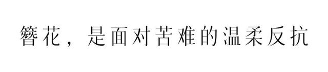 今生簪花，世世漂亮。