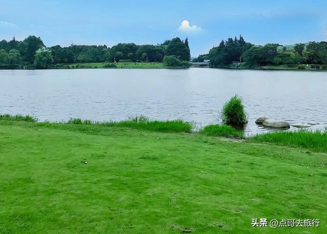 成都最美拍照公园，城市中的草原牧场，不要门票，地铁公交直达！