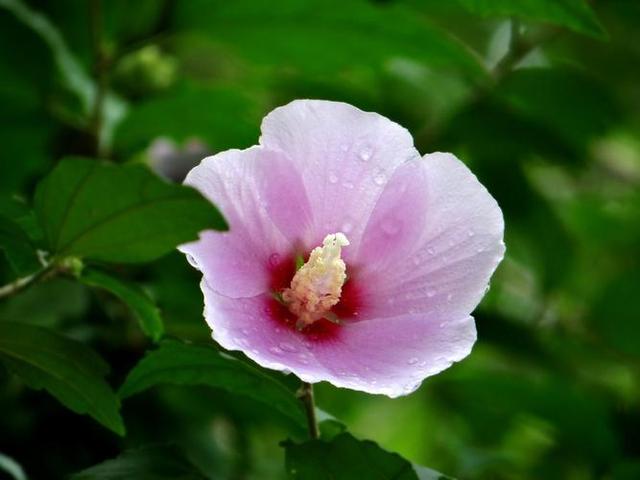 头条爆文《夫妻最好的相处：不是搭伙过日子，而是并肩闯人间》