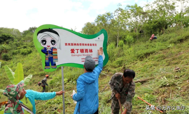 中国人吃肉蛋奶毁雨林？外媒双标玩得溜，中企护林行动证清白