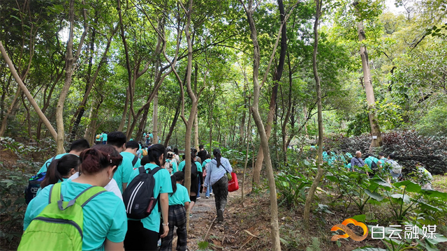 体验生态美，活力迎全运！超800人白云山徒步健身