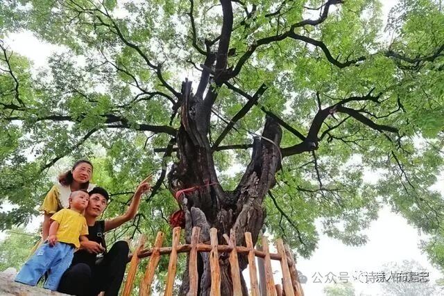 寻访悬崖上的古村——莱芜逯家岭村