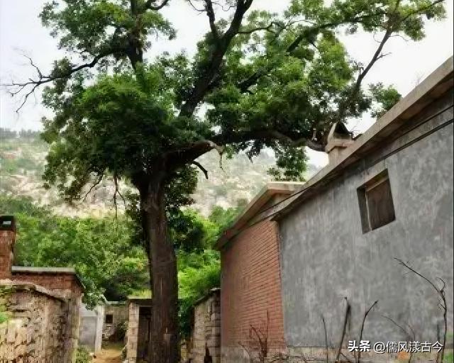 梁山县省级旅游特色村——郝山头