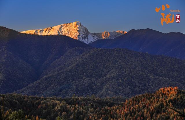 【小陇画报·430期】康乐：深秋美景如画卷 韵味盎然醉眼眸
