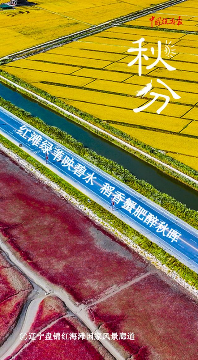 秋分丨寻色山河间 揽盈满秋实