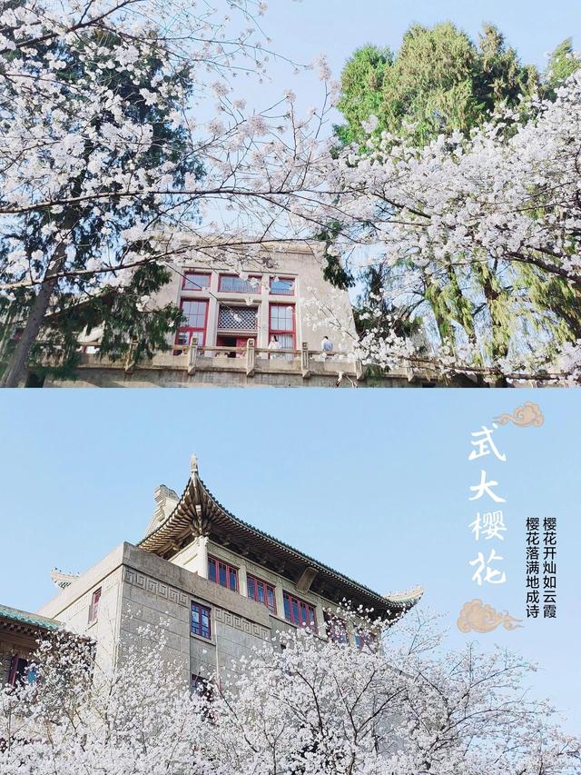 武汉:从“不服输”到“YYDS”,这座城市到底有多能打?